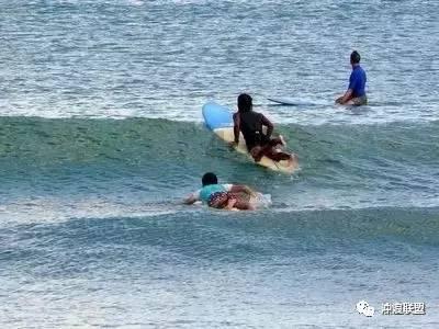 硅藻泥和墙纸哪个更环保游戏画面